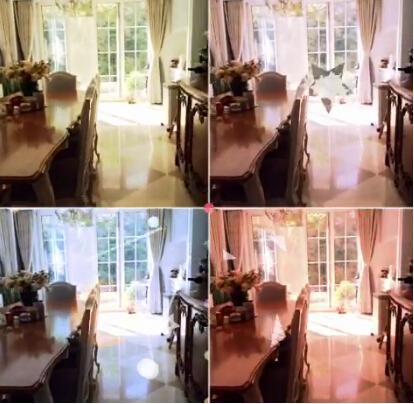 李嫣在视频中晒出了王菲的豪宅，比奢华我只服王菲