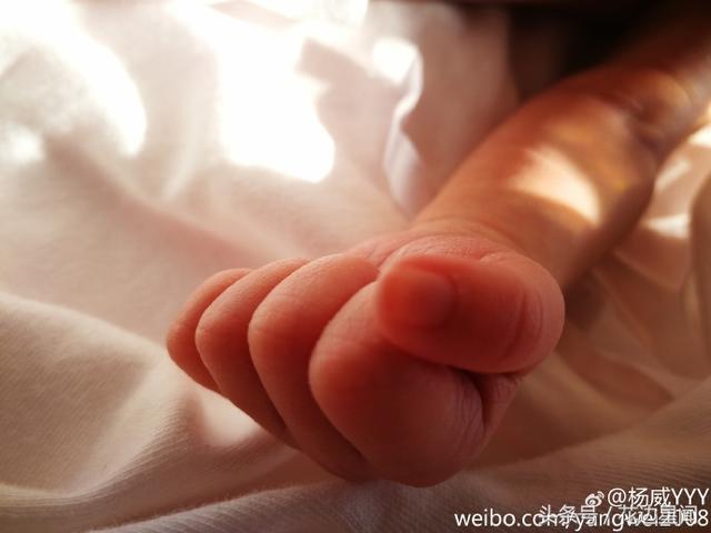 杨威晒双胞胎女儿手脚照片 羊妹妹们刚过5天就长大了