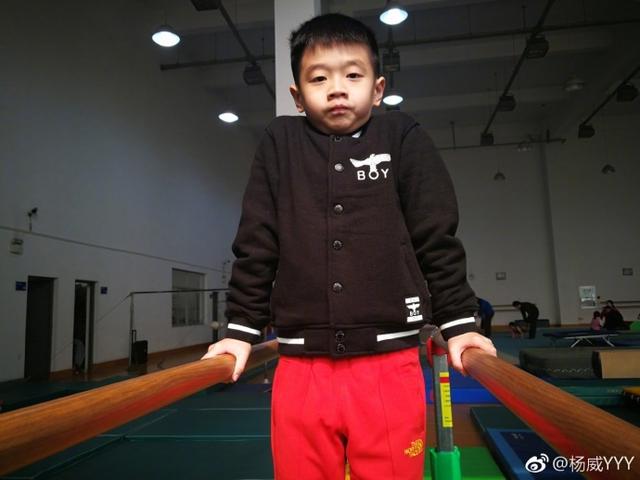 杨威晒魔鬼训练照宣布杨阳洋进军体操 网友心疼担心他出现这问题