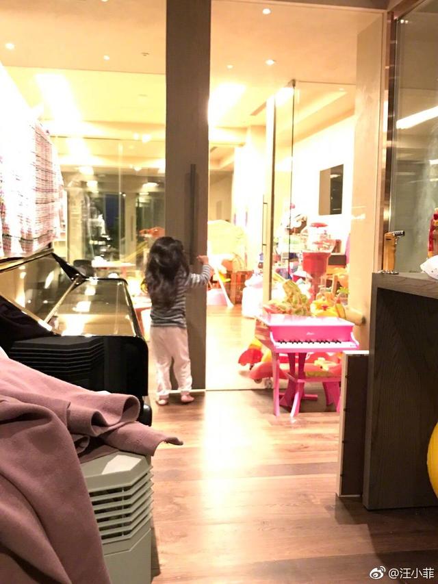 大S台湾豪宅内部装潢曝光，小玥儿的玩具房比一般人家客厅都大