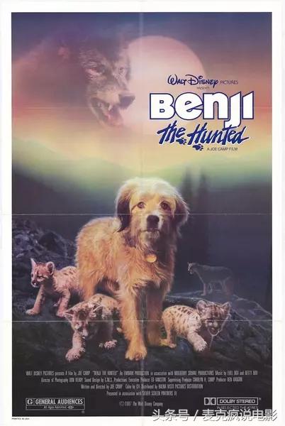 一部评分逼平《忠犬八公》的电影，一个有关宠物狗誓死守护猎豹的感人故事