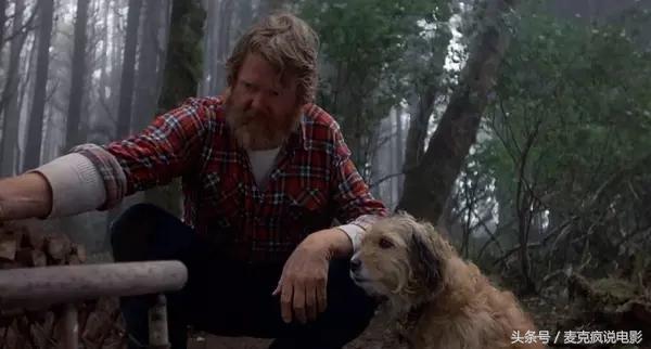 一部评分逼平《忠犬八公》的电影，一个有关宠物狗誓死守护猎豹的感人故事