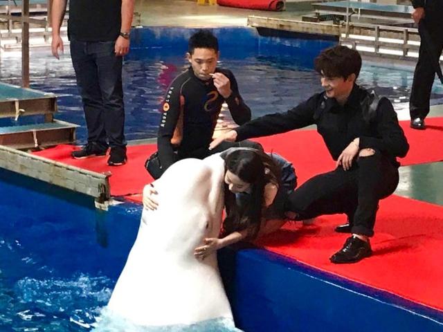 《三生三世十里桃花》路演，杨洋与白鲸亲密互动，刘亦菲拥抱kiss白鲸好可爱