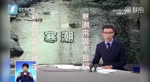 在线段子手朱广权挽救了《新闻联播》，手语老师却想打死他