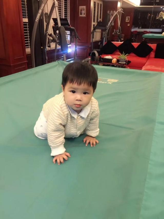 杨子晒小儿子满一周岁的正面照 网友赞儿子像黄圣依