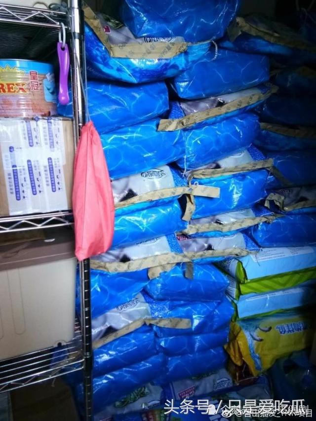 易烊千玺为流浪猫捐助猫粮，获赞善良又暖心