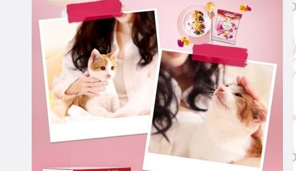 杨幂养的猫居然出道拍广告了，开微博瞬间好几万粉丝！