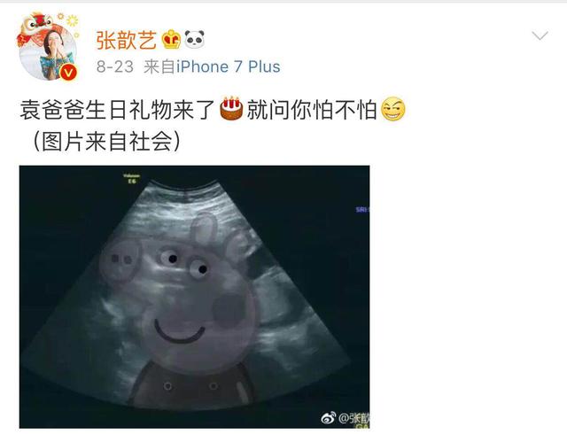 张歆艺怀孕5月发福明显，网友：脸肿得像气球