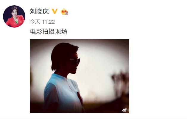 刘晓庆换了个新短发，网友：好帅好酷，就是看起来像男人