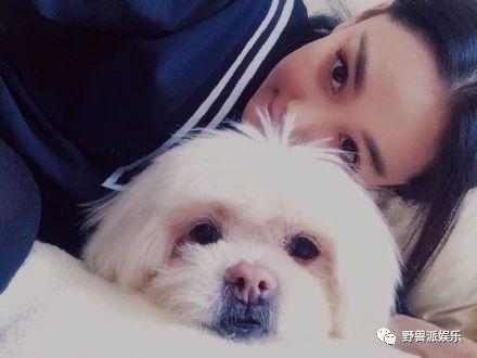 张馨予养了十八年的狗去世了，这失去的亲情比失恋更难过吧！