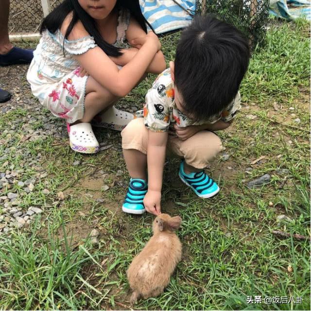 陈妍希晒儿子近照回应与陈晓婚变传闻，2岁萌宝亲自喂兔兔超可爱