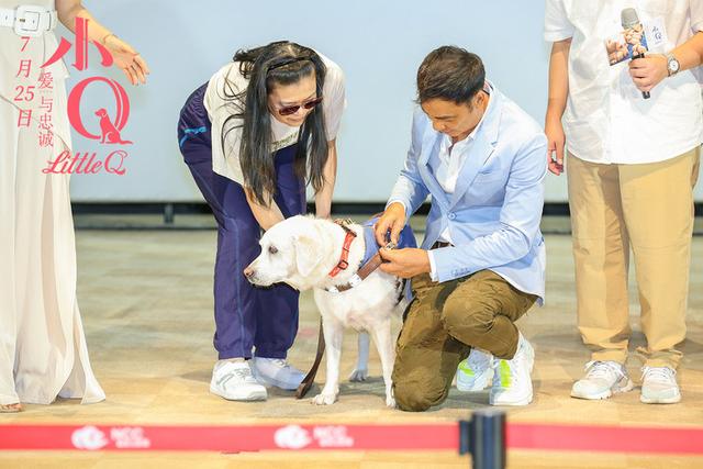 《小Q》北京首映传递陪伴力量，千人见证中国第一条导盲犬退役