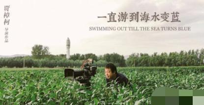 柏林电影主竞赛单元评审团成员公布，20日开幕，多部中国作品入围