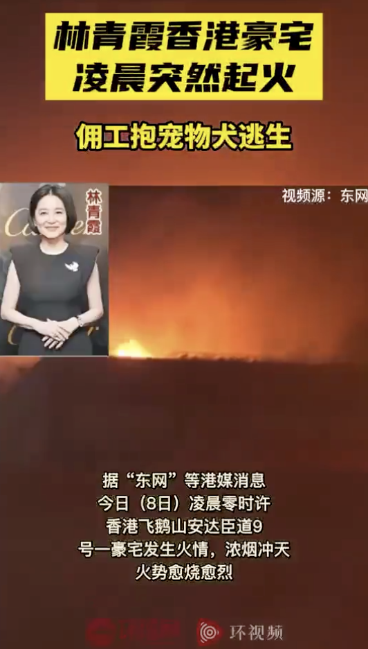 林青霞10亿豪宅起火，4600平，18个佣人…她到底多有钱？