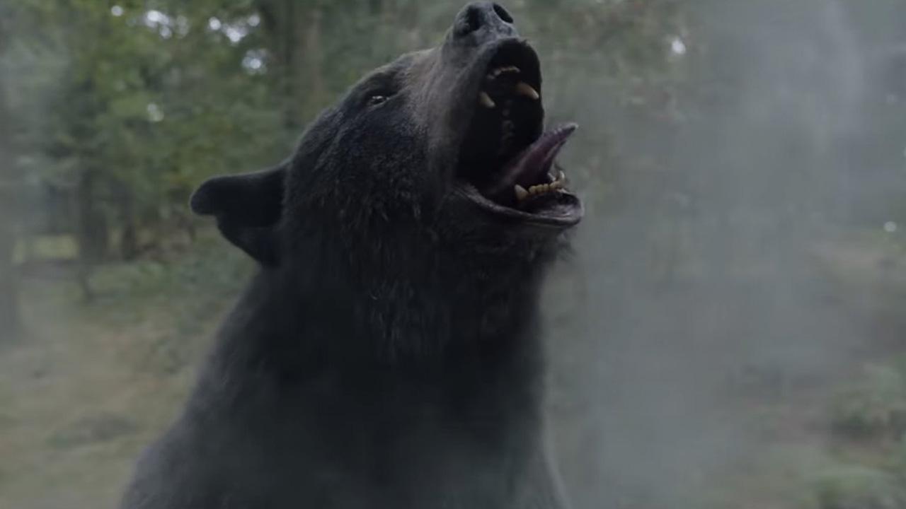 千万不要惹吸了毒的黑熊 惊悚片《可卡因熊》曝预告