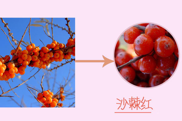 MUA一个！赵丽颖嘟嘴卖萌惹人爱 沙棘红唇彩秋季必备？