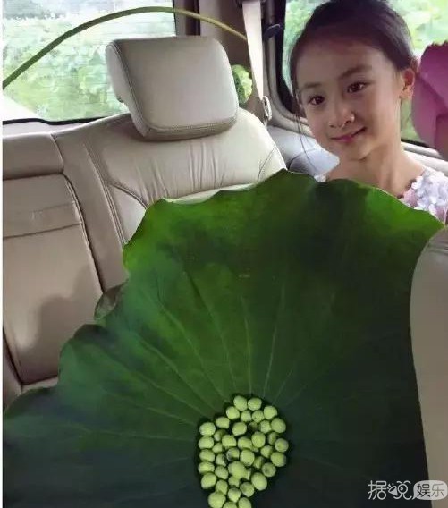 《爸爸去哪儿4》都开机了，前三季的萌娃现在都怎样啦？