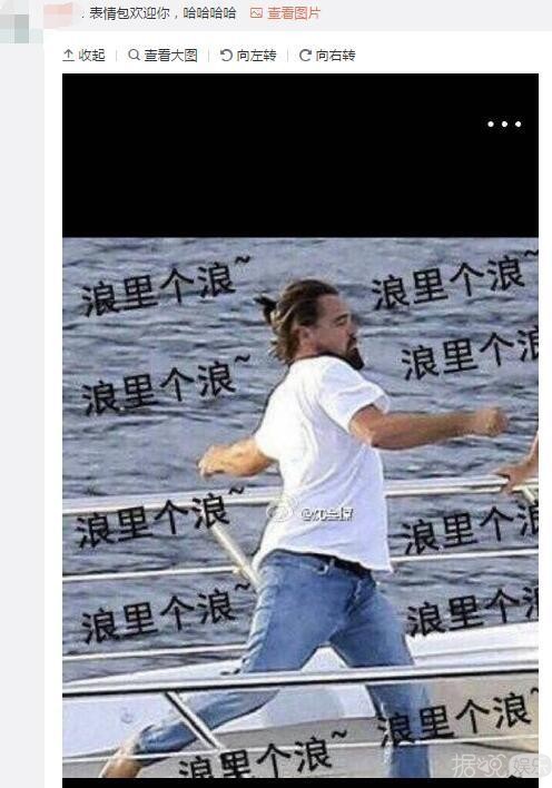 小李莱昂纳多首条微博评论已被表情包攻陷……来啊，互相伤害啊！