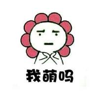 田亮一家三口霸气亮相机场遭围观  森碟去哪了卖萌晒照怎么能少她？