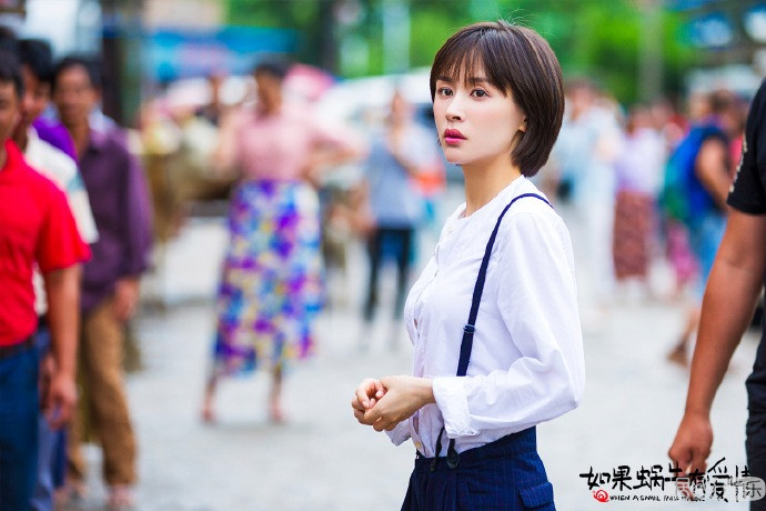 《如果蜗牛有爱情》结局 蜗牛cp将深入缅甸追寻噜哥及其幕后大佬的踪迹