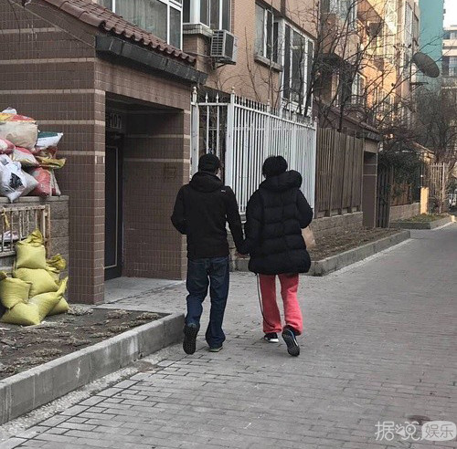 谢霆锋与王菲手牵手遛弯 两人开启老夫老妻模式