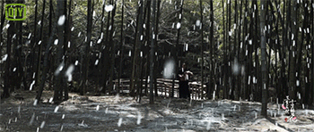 杨幂赵又廷主演的电视剧《三生三世十里桃花》曝美术制作特辑！