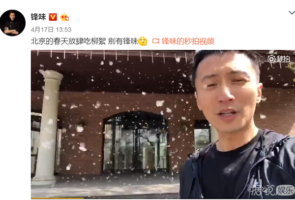 千万别跟王菲走得太近,谢霆锋就是一个很好的例子 千万别跟王菲走得太近,谢霆锋就是一个很好的例子
