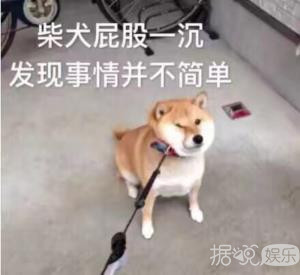 赵薇古巨基被围观尬吻算什么?黄磊陈数可以边接吻边聊天 赵薇古巨基被围观尬吻算什么?黄磊陈数可以边接吻边聊天