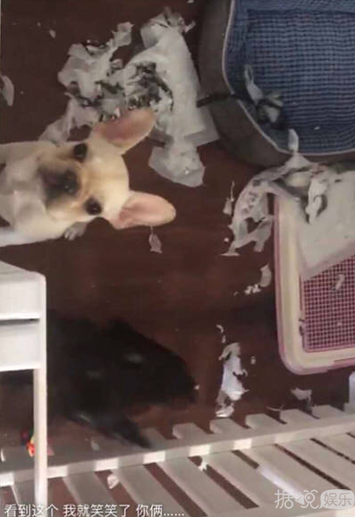 ��˿��ͼ���ԼҰ���̸������������е�������Ϣ