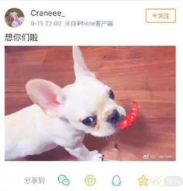 ��˿��ͼ���ԼҰ���̸������������е�������Ϣ