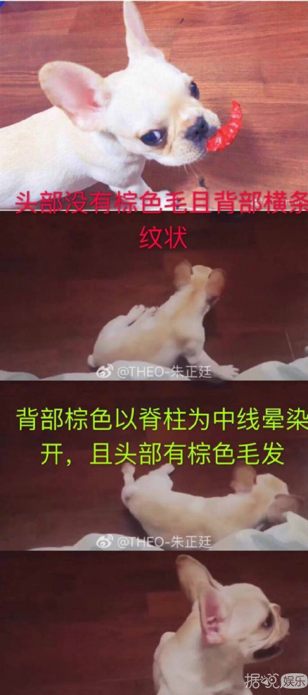 ��˿��ͼ���ԼҰ���̸������������е�������Ϣ