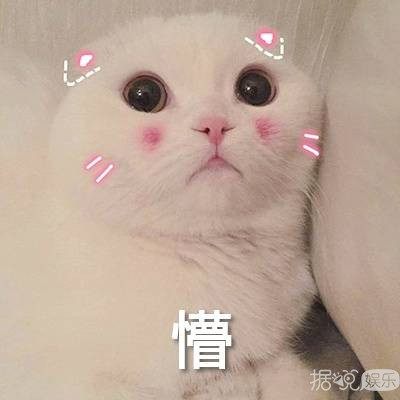 Ӧ�ɶ��ͳ���ɯ��Ϊһ��СƱ���ܣ������ŵ����в�̫������