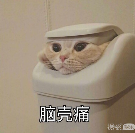 Ӧ�ɶ��ͳ���ɯ��Ϊһ��СƱ���ܣ������ŵ����в�̫������