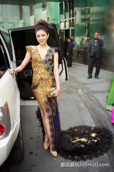 赵雅淇亮相奥斯卡 红毯处女秀惊艳全场