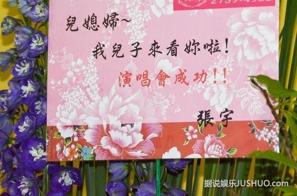 邓紫棋台北小巨蛋爆乳开唱 张宇认邓紫棋为儿媳妇