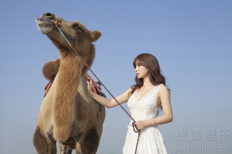 柳岩沙漠写真曝光 迷人背影牵骆驼变身塞外明珠