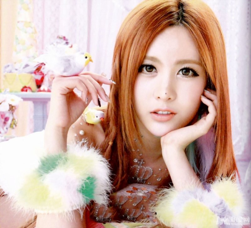 天仙美女李居丽Tara进军日本 《Jewelry Box》专辑写