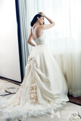 甄子丹汪诗诗拍浪漫唯美婚纱照 庆结婚十周年