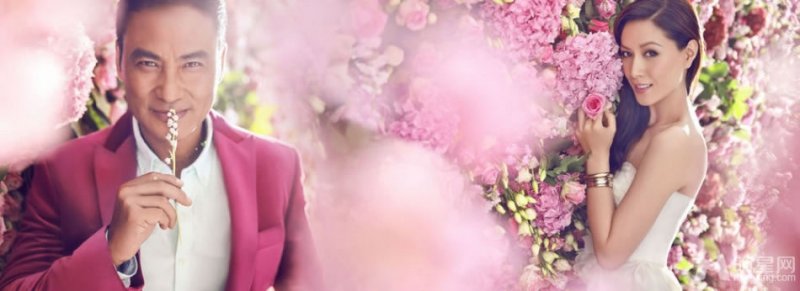 张大静知性委婉写真曝光 尽显轻熟女气质