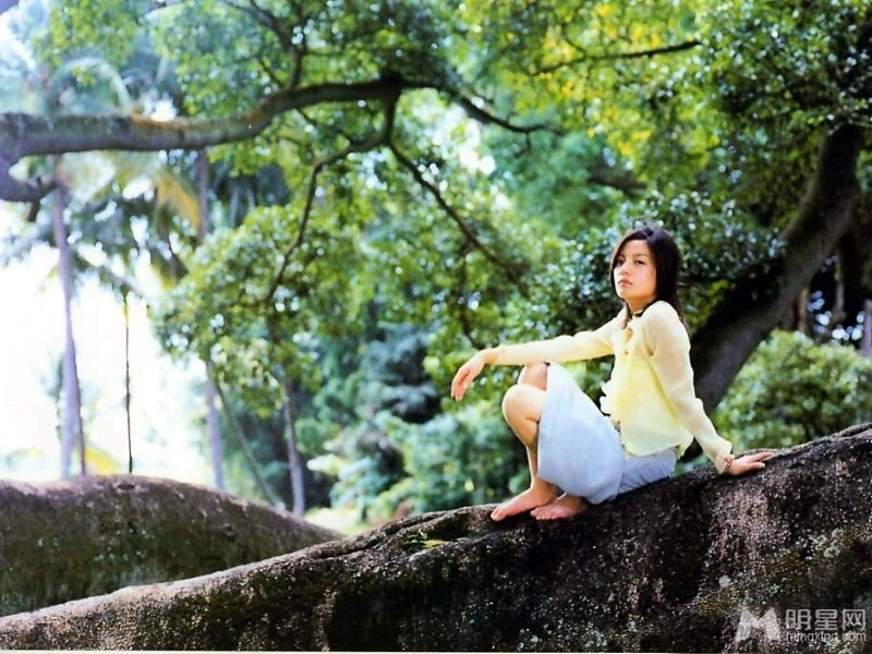 北影历届校花明星美照大PK 刘亦菲公认最美 北影历届校花明星美照大PK 刘亦菲公认最美