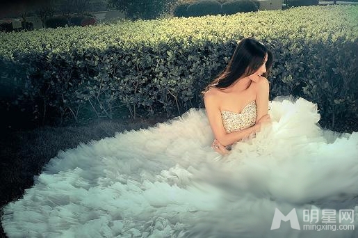 叶新晨化身白色天使写真 展清澈纯美气质
