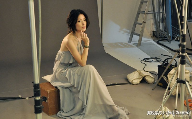 陈慧琳代言写真曝光 典雅造型演绎岁月静好