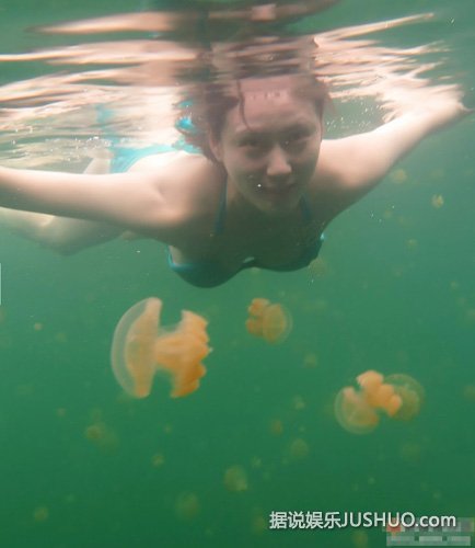 女星素颜潜水与水母嬉戏 大秀火辣性感身材