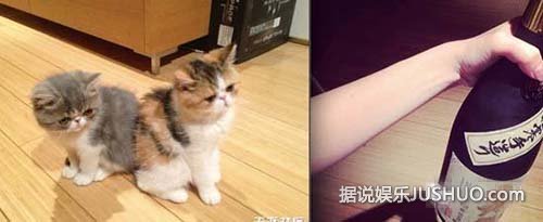 揭嫩模杀手王思聪的后宫团：说好的不喜欢嫩模呢？