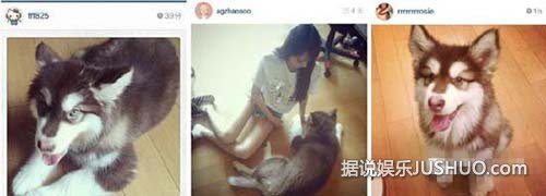 揭嫩模杀手王思聪的后宫团：说好的不喜欢嫩模呢？