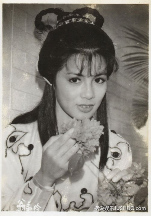 赵雅芝汪明荃刘嘉玲 揭TVB天后传奇情史(图)