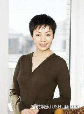 海清金巧巧刘若英左小青 揭女星的神秘老公们 海清金巧巧刘若英左小青 揭女星的神秘老公们