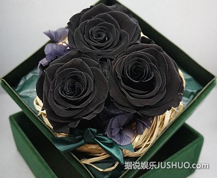 流言揭秘：真的有黑玫瑰吗？