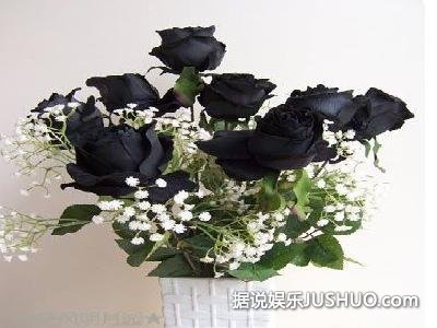 流言揭秘：真的有黑玫瑰吗？