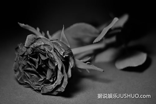 流言揭秘：真的有黑玫瑰吗？